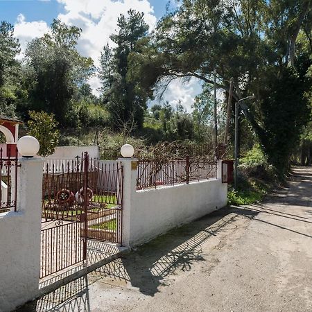 Dafnila Merlyn Rooms Into The Nature, 100M From The Beach מראה חיצוני תמונה