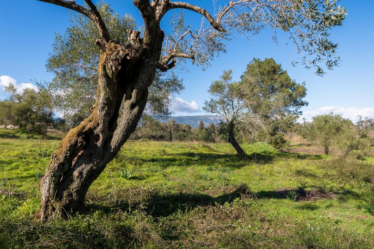 Dafnila Merlyn Rooms Into The Nature, 100M From The Beach מראה חיצוני תמונה